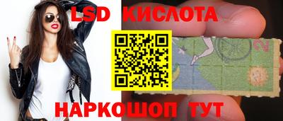 прущие грибы Малоярославец