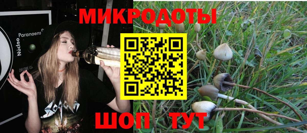Псилоцибиновые грибы Cubensis Ижевск